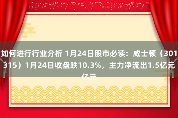 如何进行行业分析 1月24日股市必读：威士顿（301315）1月24日收盘跌10.3%，主力净流出1.5亿元