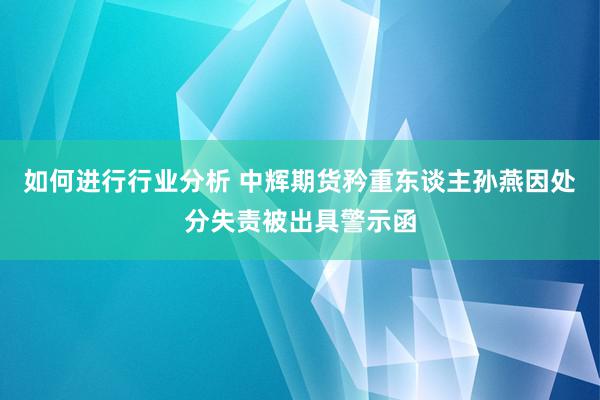 如何进行行业分析 中辉期货矜重东谈主孙燕因处分失责被出具警示函