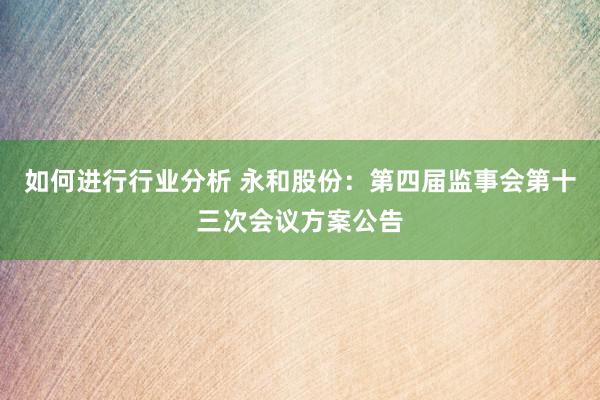 如何进行行业分析 永和股份：第四届监事会第十三次会议方案公告