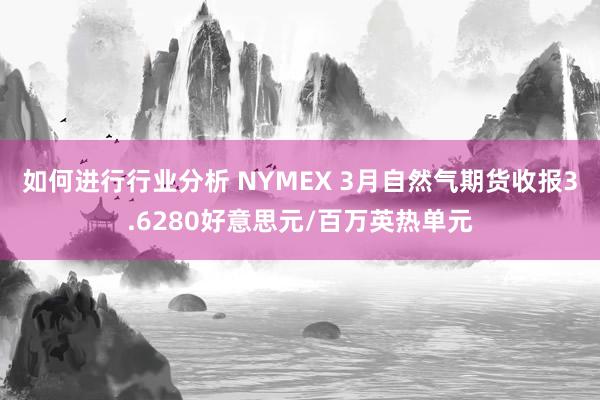 如何进行行业分析 NYMEX 3月自然气期货收报3.6280好意思元/百万英热单元