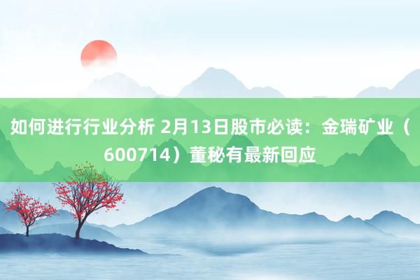 如何进行行业分析 2月13日股市必读：金瑞矿业（600714）董秘有最新回应