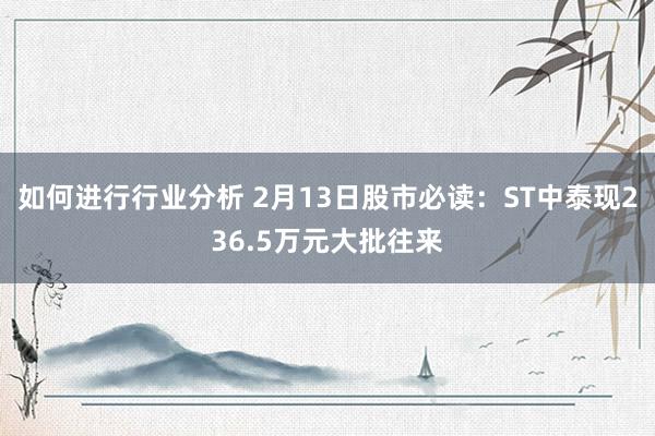 如何进行行业分析 2月13日股市必读：ST中泰现236.5万元大批往来