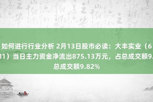 如何进行行业分析 2月13日股市必读：大丰实业（603081）当日主力资金净流出875.13万元，占总成交额9.82%