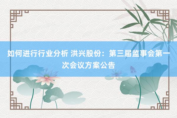 如何进行行业分析 洪兴股份：第三届监事会第一次会议方案公告