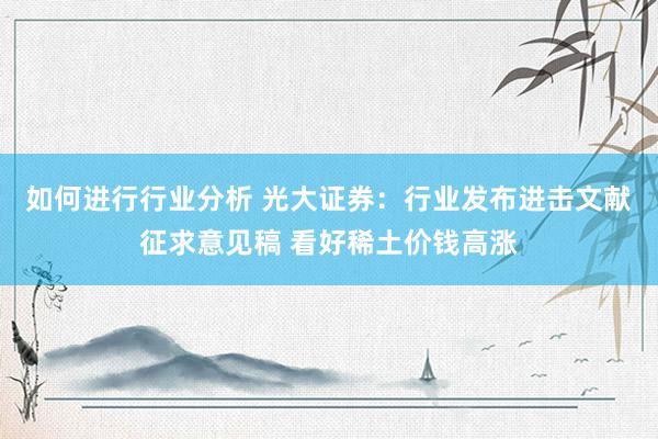 如何进行行业分析 光大证券：行业发布进击文献征求意见稿 看好稀土价钱高涨