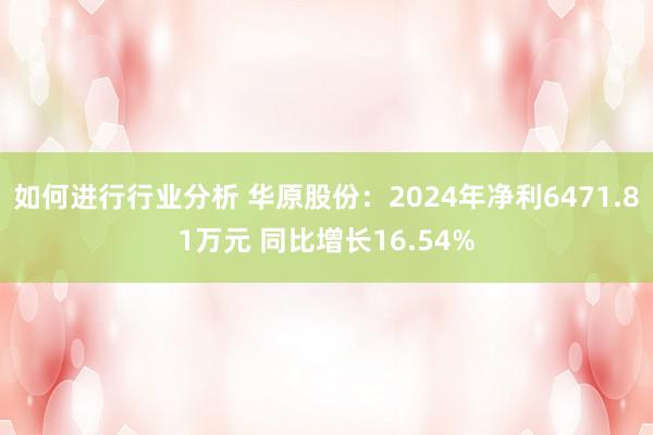 如何进行行业分析 华原股份：2024年净利6471.81万元 同比增长16.54%