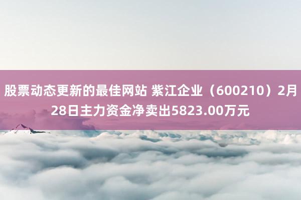 股票动态更新的最佳网站 紫江企业（600210）2月28日主力资金净卖出5823.00万元