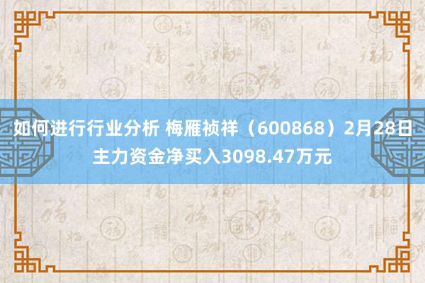 如何进行行业分析 梅雁祯祥（600868）2月28日主力资金净买入3098.47万元