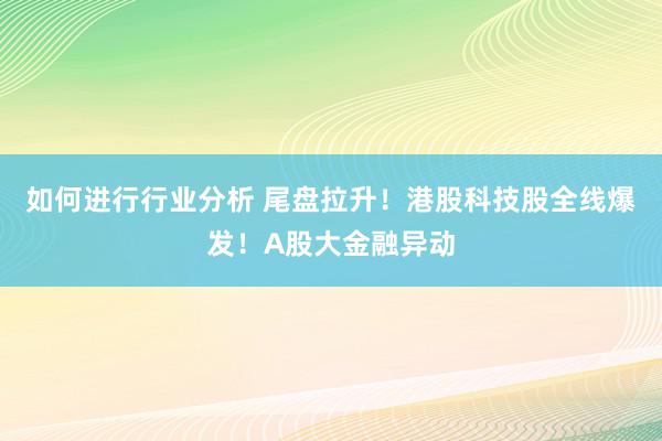 如何进行行业分析 尾盘拉升！港股科技股全线爆发！A股大金融异动