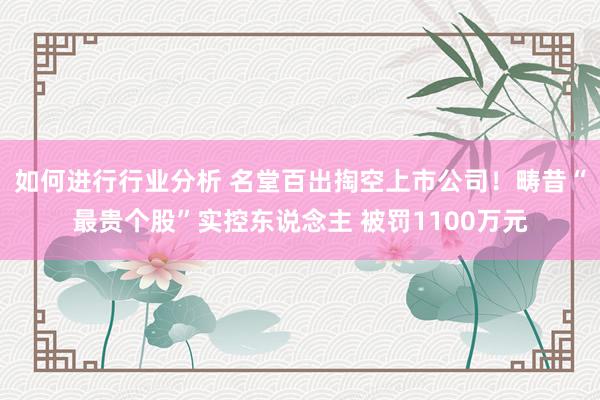 如何进行行业分析 名堂百出掏空上市公司！畴昔“最贵个股”实控东说念主 被罚1100万元