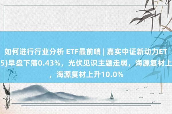 如何进行行业分析 ETF最前哨 | 嘉实中证新动力ETF(159875)早盘下落0.43%，光伏见识主题走弱，海源复材上升10.0%