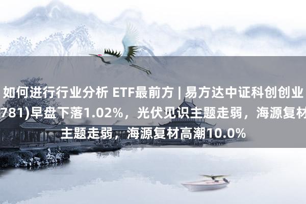 如何进行行业分析 ETF最前方 | 易方达中证科创创业50ETF(159781)早盘下落1.02%，光伏见识主题走弱，海源复材高潮10.0%