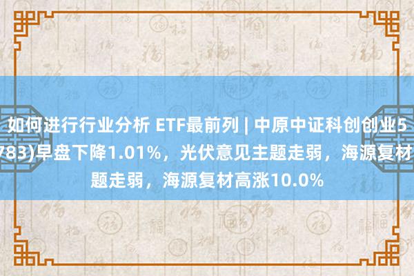 如何进行行业分析 ETF最前列 | 中原中证科创创业50ETF(159783)早盘下降1.01%，光伏意见主题走弱，海源复材高涨10.0%