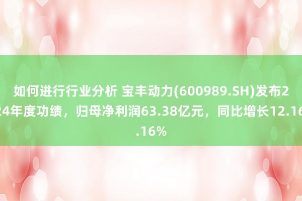 如何进行行业分析 宝丰动力(600989.SH)发布2024年度功绩，归母净利润63.38亿元，同比增长12.16%